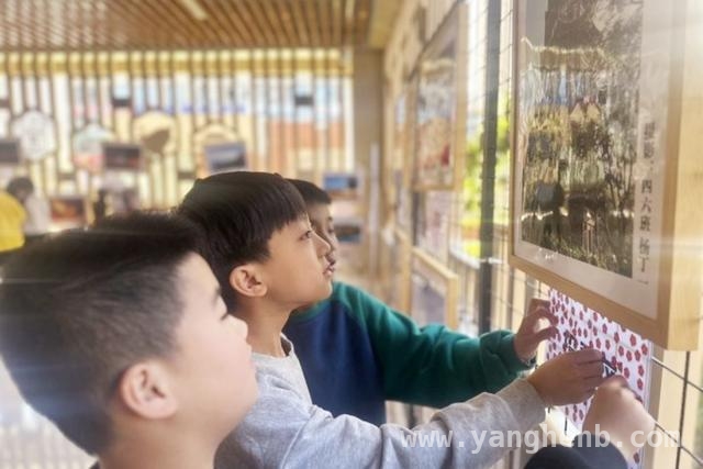 从附小摄影展看少年对生活的热爱