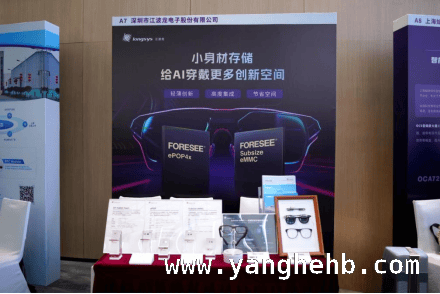 江波龙亮相大会，为AI智能眼镜产业破局注入强劲动力 江波龙闪耀2025亚洲AI智能眼镜大会，引领存储技术新风尚