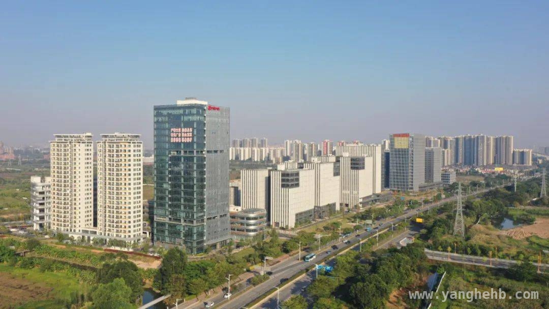 麻涌市场主体创新高，夜经济与新兴产业共繁荣