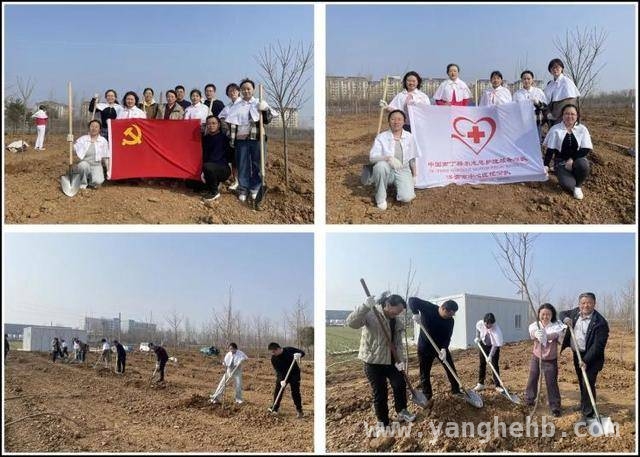 济南市中心医院门诊党总支二支部：植树节义诊与植树双行动暖人心 济南市中心医院医护进社区：植树义诊，为和谐社区添彩