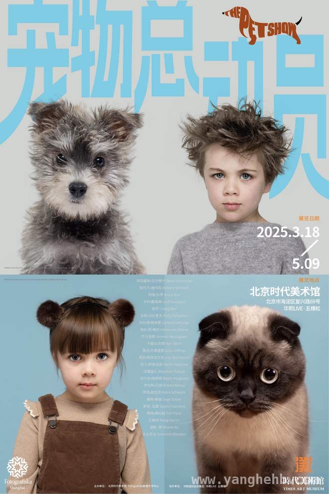 北京时代美术馆〈宠物总动员〉开启，邀你与爱宠共赴艺术之约