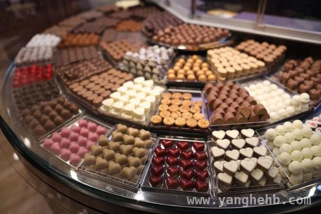 莱德拉巧克力：从瑞士到中国，新鲜美味的传递，莱德拉巧克力：瑞士经典，中国绽放魅力