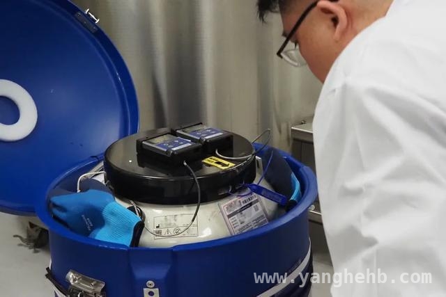 CAR-T细胞治疗跨境突破：上海引领生物医药新征程