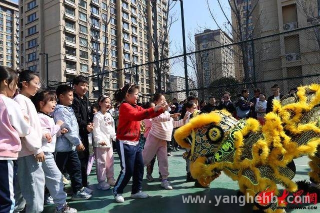走进曲阜青少年武术志愿活动，感受中华武术魅力