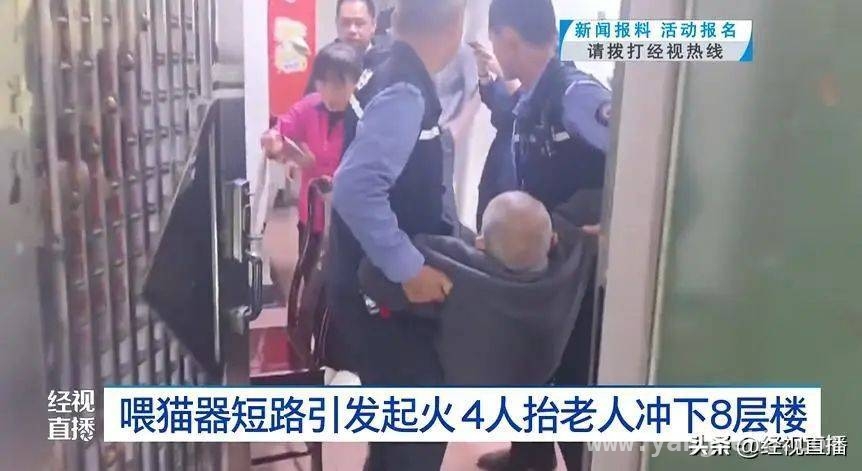 深圳一住宅自动喂猫器短路起火，网格员救援显担当 自动喂猫器火灾敲响安全警钟，“铲屎官”们需警惕！