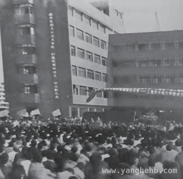 莲花南路：承载历史与希望的闵行动脉 循着莲花南路，发现闵行独特之美