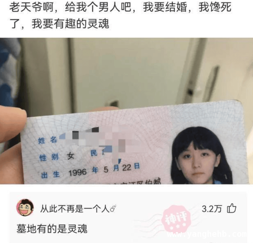 不容错过的今日神回复，笑翻全场！