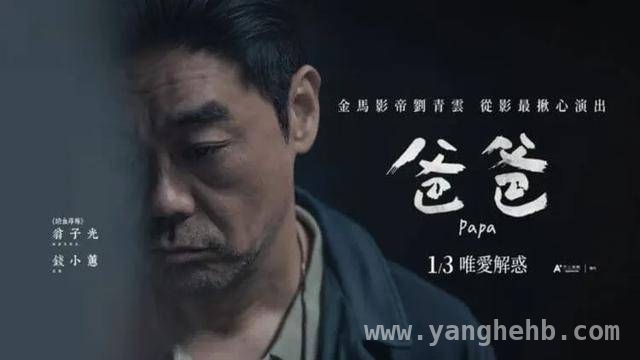上半年港产片开镜寥寥，多位港星无奈转行，港星转行潮背后：香港电影业的艰难现状