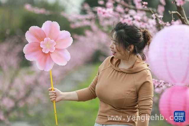 龙泉山桃花缤纷，中铁项目邀你共赴春日之约