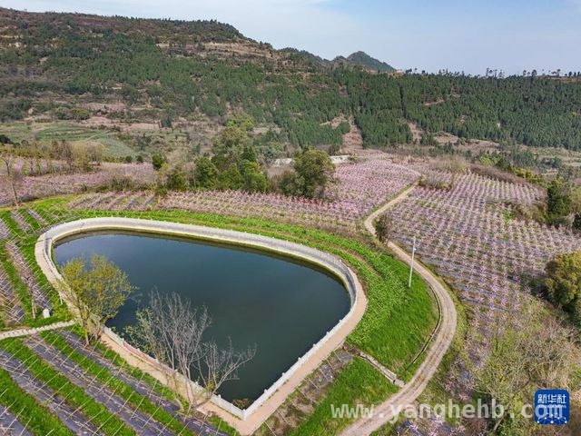 龙泉山桃花缤纷，中铁项目邀你共赴春日之约
