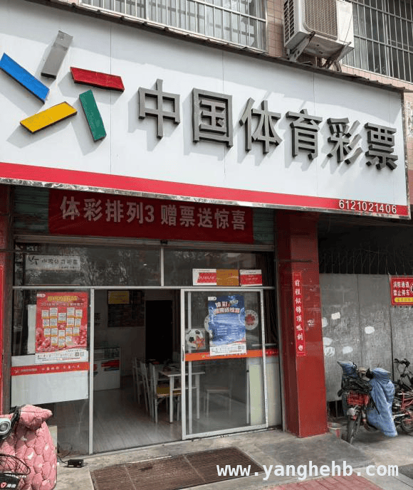 8年坚守，张乐用诚信与服务点亮购彩之旅，张乐：用专业与真诚，诠释购彩服务新高度