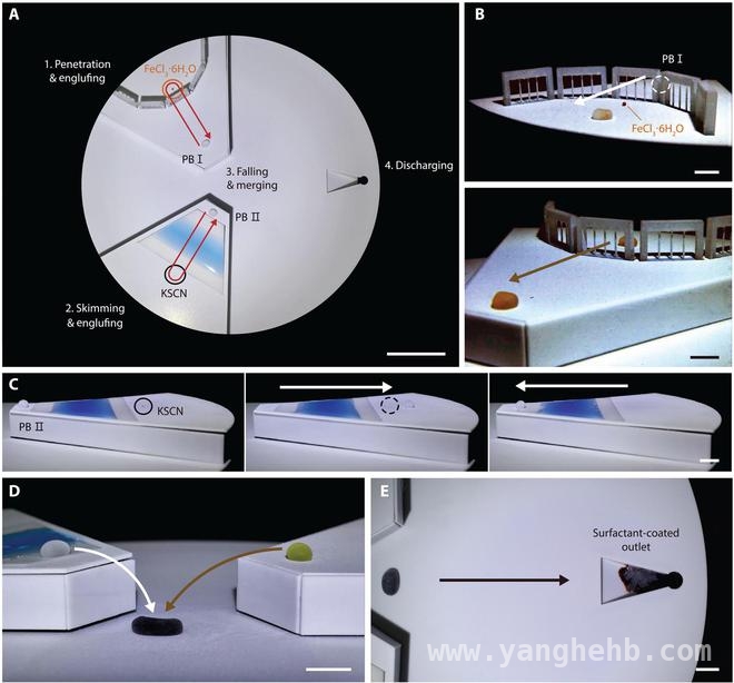 像生物细胞般自由变形！韩国液态机器人重大突破，从设计到应用，韩国液态软体机器人的创新之路