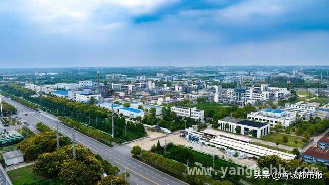 鱼农桥街道：企业成长的摇篮，镇域发展的引擎 荆州鱼农桥街道：镇域经济发展的璀璨之星