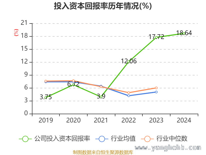 探秘比亚迪：财务数据背后的秘密