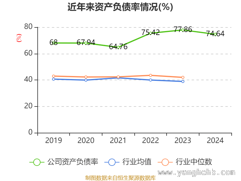 探秘比亚迪：财务数据背后的秘密