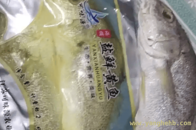 吃黄鱼有讲究，这些食用和贮藏知识要知道，网购黄花鱼风波：各类黄鱼鉴别与食用指南