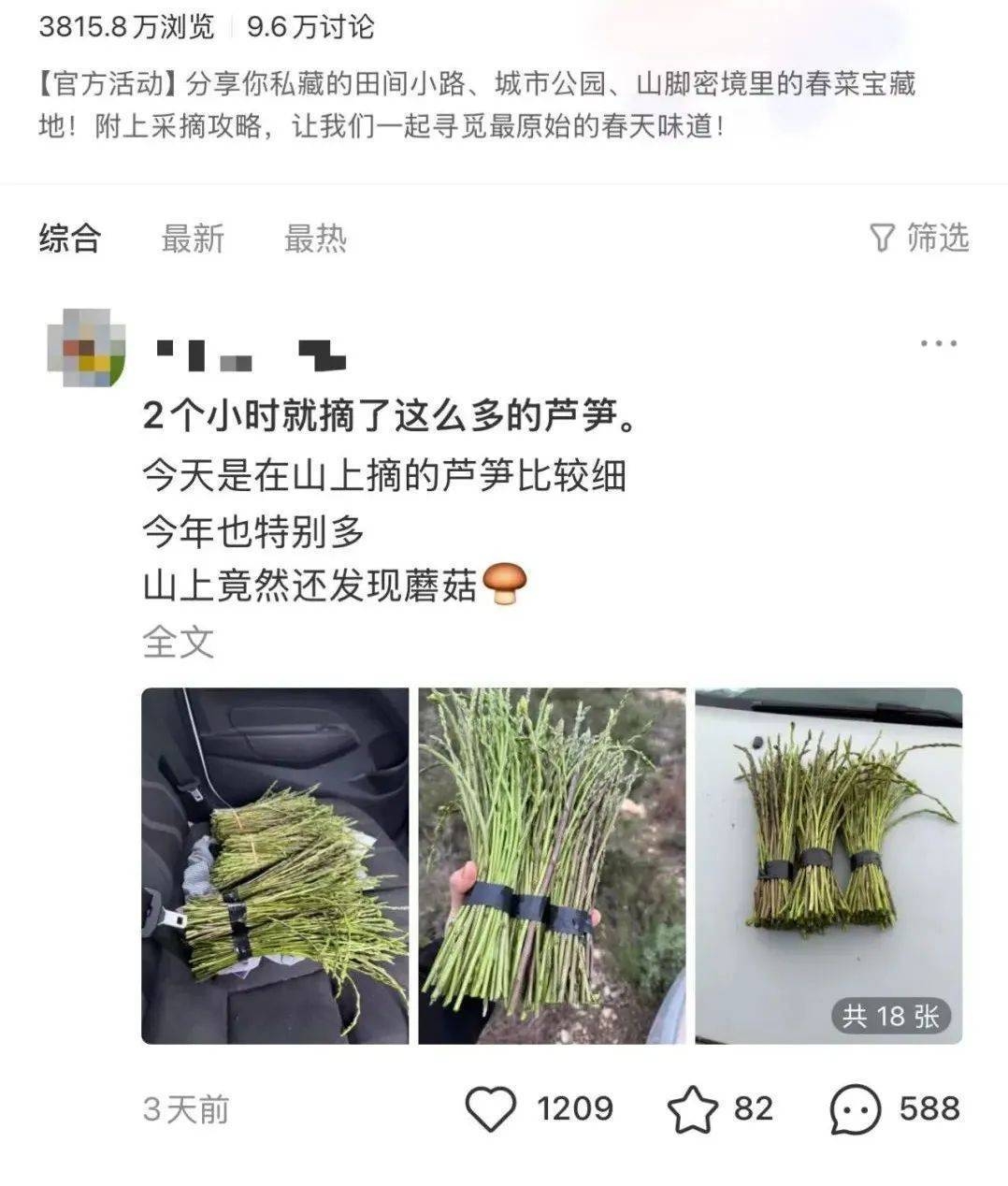 春暖花开摘野菜，安全第一莫轻心
