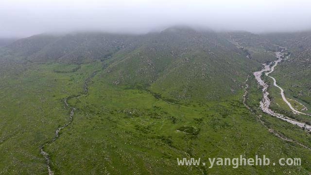 走进银川，感受黄土与稻穗间的浪漫