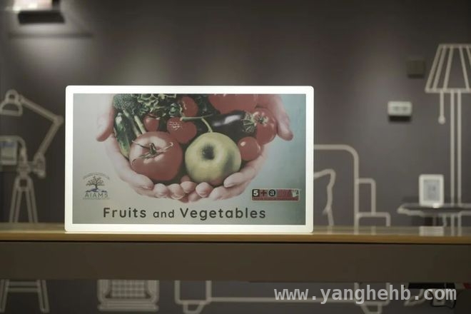 新技术助力！奥翼发布全球首款大尺寸视频电子纸显示屏 全球首款30寸以上视频电子纸显示屏亮相，奥翼攻克技术难题