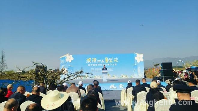 2. 什邡师古镇第四届梨花推介之旅，开启春日浪漫盛宴