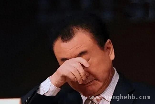 万达风云：王健林还清6000亿后，80亿资产又被冻结？