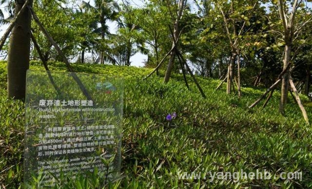 1. “博鳌近零碳示范区”成功跨越，为全球零碳标准贡献中国智慧，4. 突破！博鳌近零碳示范区迈向零碳时代，推广经验可期
