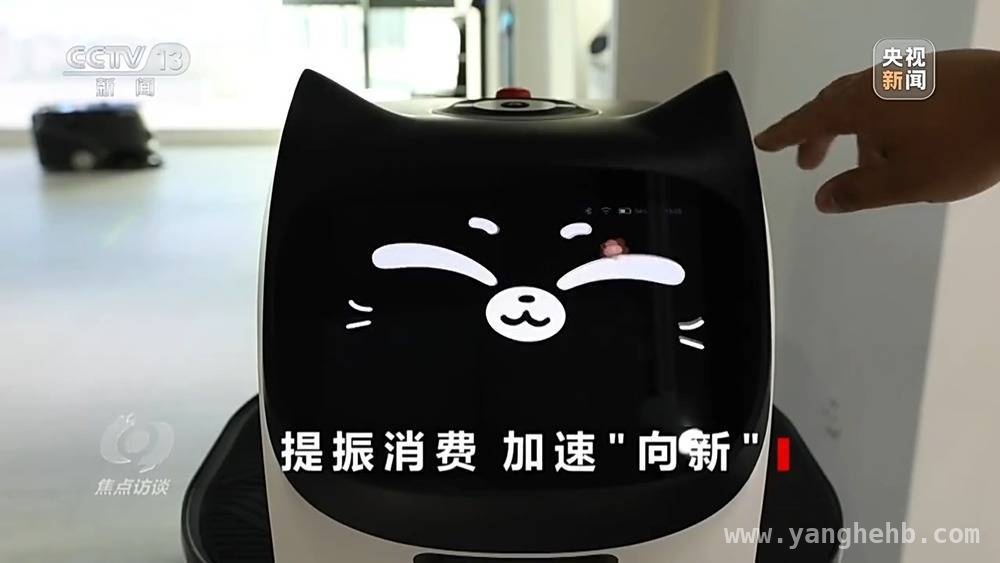 提振消费方案出台，哪些领域将成新风口？，消费潜力大释放，政策“组合拳”打出哪些王牌？
