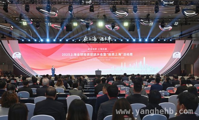 聚焦上海：新兴产业与全球资本的双向奔赴，上海投资热：解锁未来发展新密码