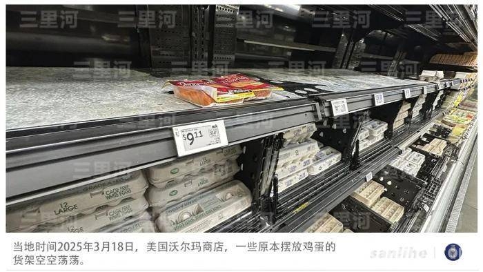 美国“蛋荒”蔓延，政府关税政策成绊脚石 美国“蛋荒”持续，疫情与保护主义双重夹击
