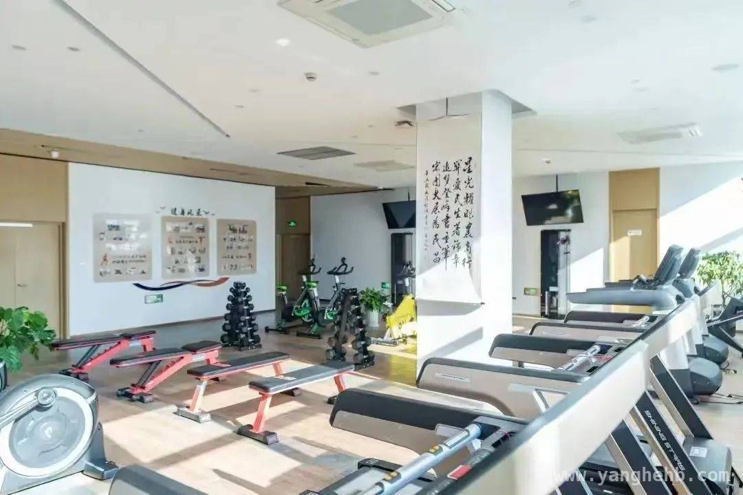 桐庐青年夜校，轻松实现技能提升与社交拓展！ 桐庐青年夜校来袭，开启多元成长新旅程