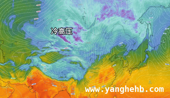 今日郑州晴，河南升温狂欢后冷空气将至！，郑州晴暖相伴，河南气温即将开启“过山车”模式！