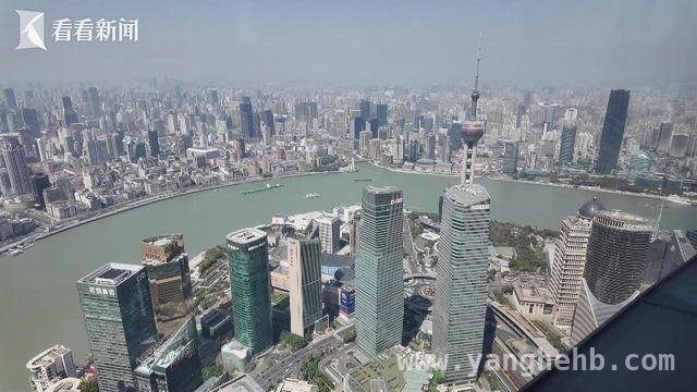 上海全球投资促进大会：区长“营业”开启招商新体验 上海招商新玩法：区长当“店长”，产业生态引企业
