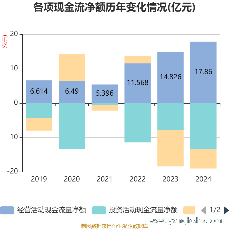 嘉泽新能财务全景：盈利、现金流与负债面面观 嘉泽新能2024年：业绩指标与股东情况大揭秘