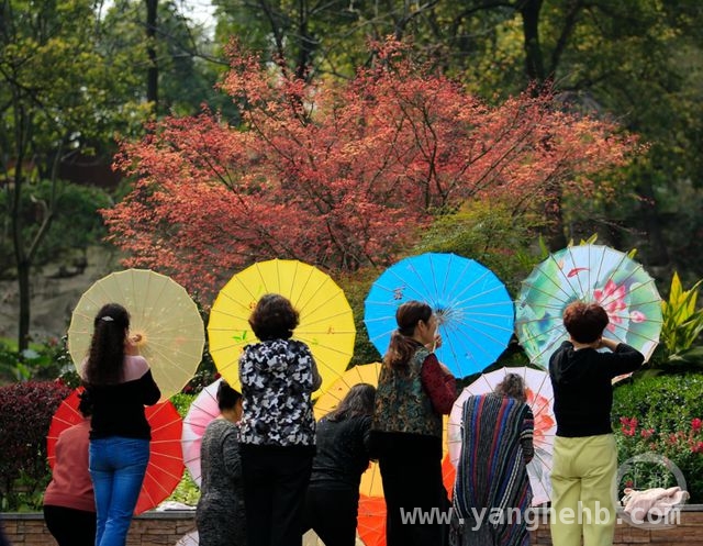 “春色”摄影展启幕，共赴春日光影之约，春日盛景等您定格，上游新闻摄影展开启征稿