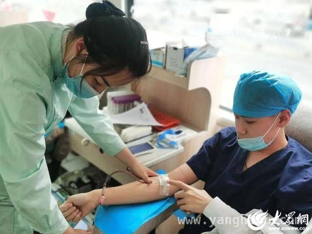 无偿献血，诺尔漫口腔员工为健康淄博添彩，诺尔漫口腔：用热血谱写生命赞歌