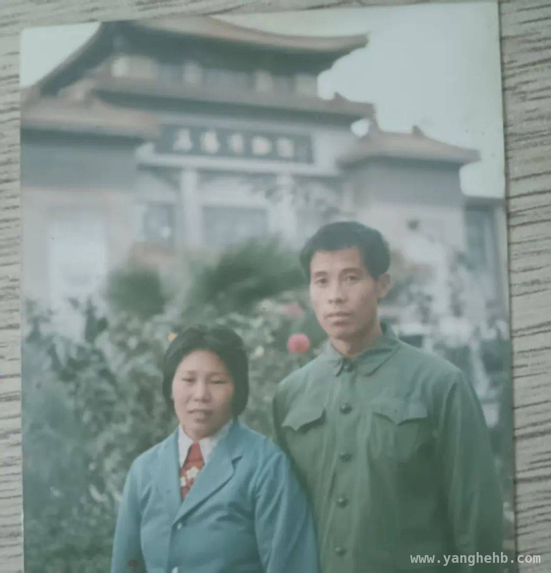黑白电视机见证童年，父母之爱温暖中年时光