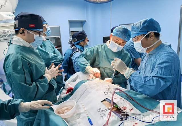 市四医院首例TA – TAVR手术成功，高龄患者重获健康