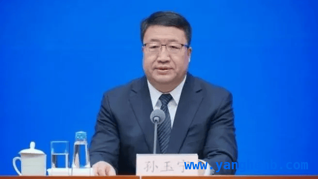 孙玉宁受贿案：海关系统反腐再添新例
