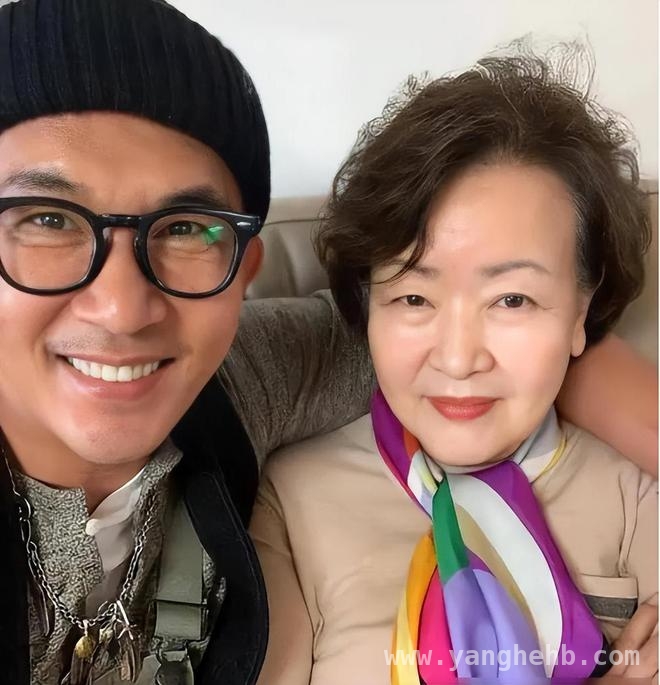 具俊晔“爱情神话”破灭，豪门残局暴露真实处境，具俊晔：从豪门赘婿到无人问津的过气偶像