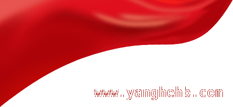 传承雷锋精神，少先队员追“锋”在路上 告别等“锋”，争做追“锋”好少年