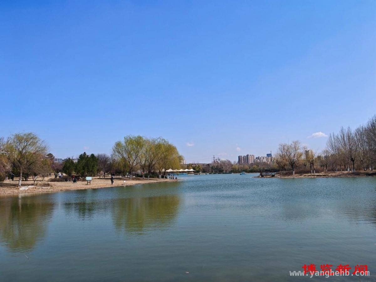 淄博：在春天里书写绿色生态新传奇 淄博：城市与自然相拥，生态建设焕新机