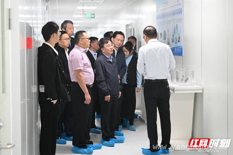 湖南锚定未来产业：科技创新与产业创新融合开启新征程，湖南民建调研：为科技创新与产业创新融合发展“把脉”