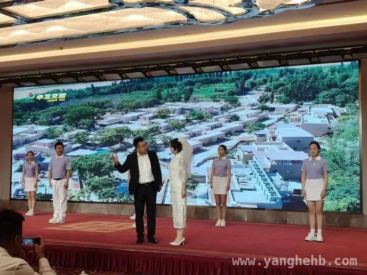 “青春漠漠搭”，中卫文旅推介会点亮石家庄