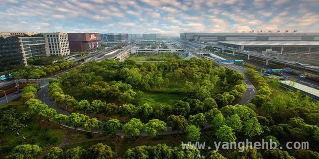四年蝶变！虹桥闵行片区开启全球链接新时代