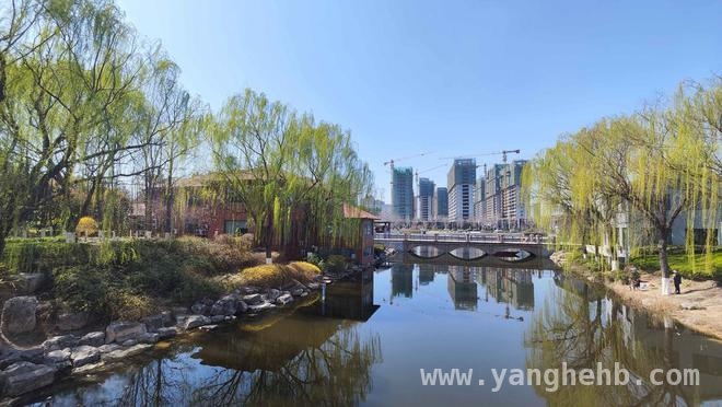 2025牡丹大会前夕，菏泽鲁西新区奏响城市升级乐章 菏泽鲁西新区借牡丹节东风，多举措提升城市颜值与内涵