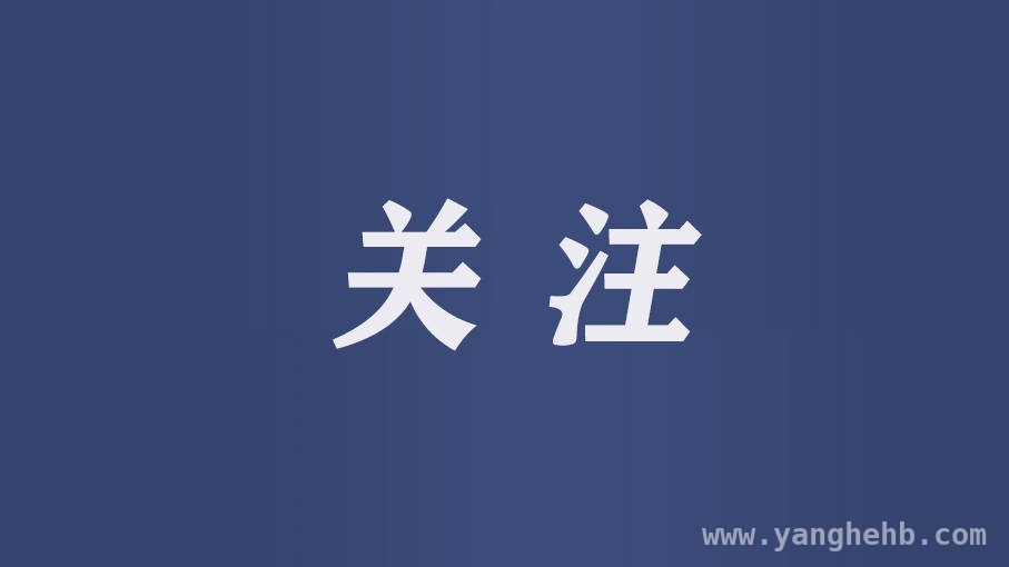 2025年河南寒潮将至，最低气温降幅超10℃，防御指南请查收，河南气象台发布寒潮预警，大风和低温影响下各部门及民众需行动