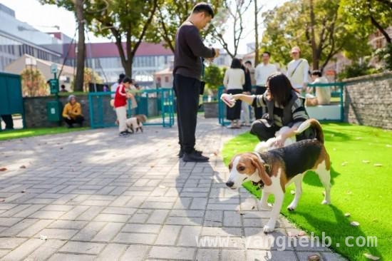 3月沪上今潮8弄，人宠同乐的春日盛宴等你来，今潮8弄变身宠物友好街区，“海派今潮·萌游记”欢乐来袭