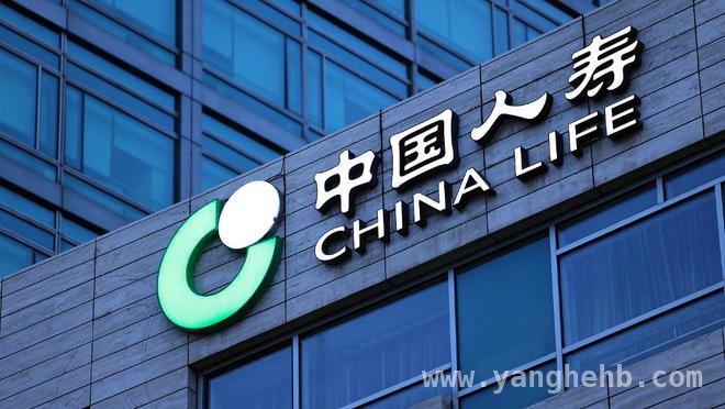 透视中国人寿2024年业绩：保费增长、投资稳健双丰收