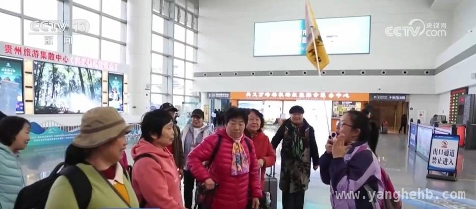 签证优化，国际游客开启中国深度游，赏花游带火民航，春日小城成新宠