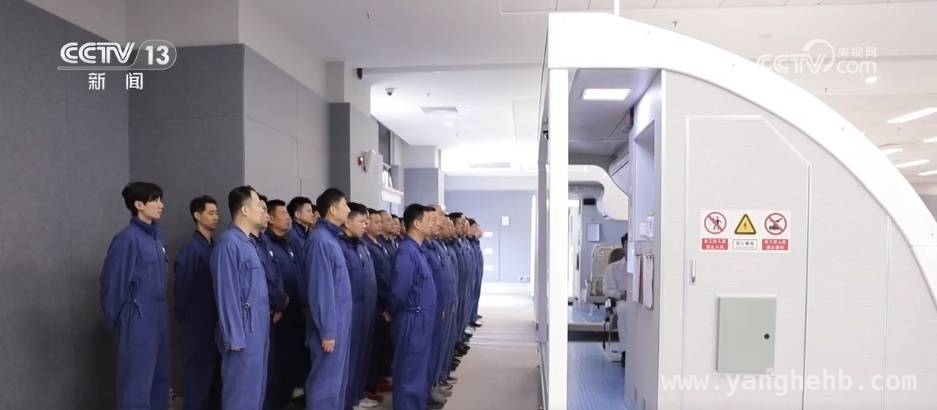 签证优化，国际游客开启中国深度游，赏花游带火民航，春日小城成新宠